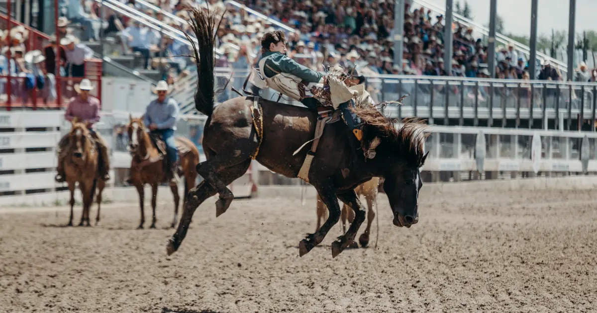 Colorado vs The World Rodeo