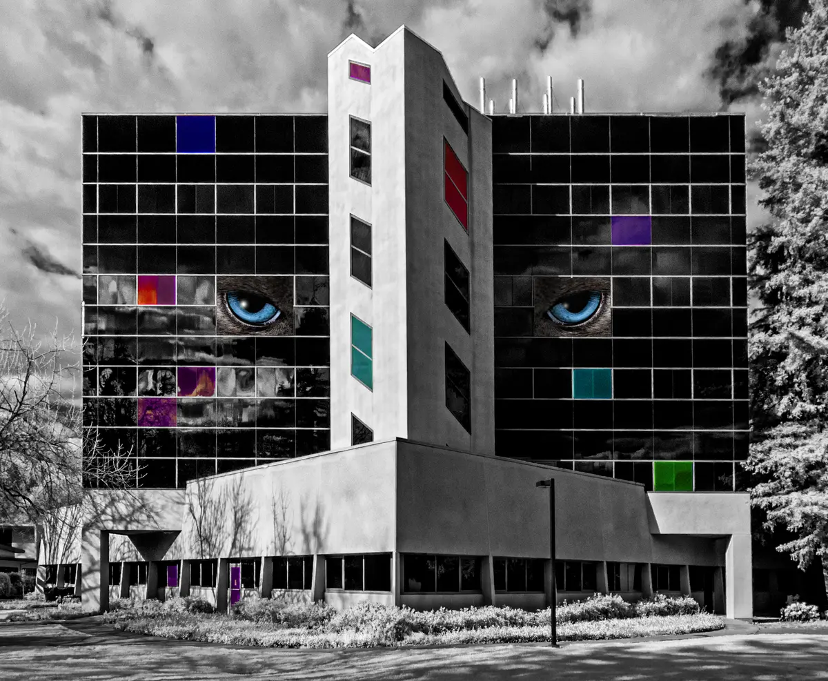 Sacramento State Hornets at Montana State Bobcats Womens Basketball