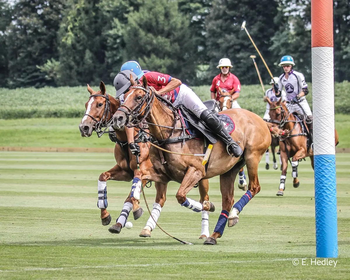 Brandywine Polo - Friday Sunset Polo