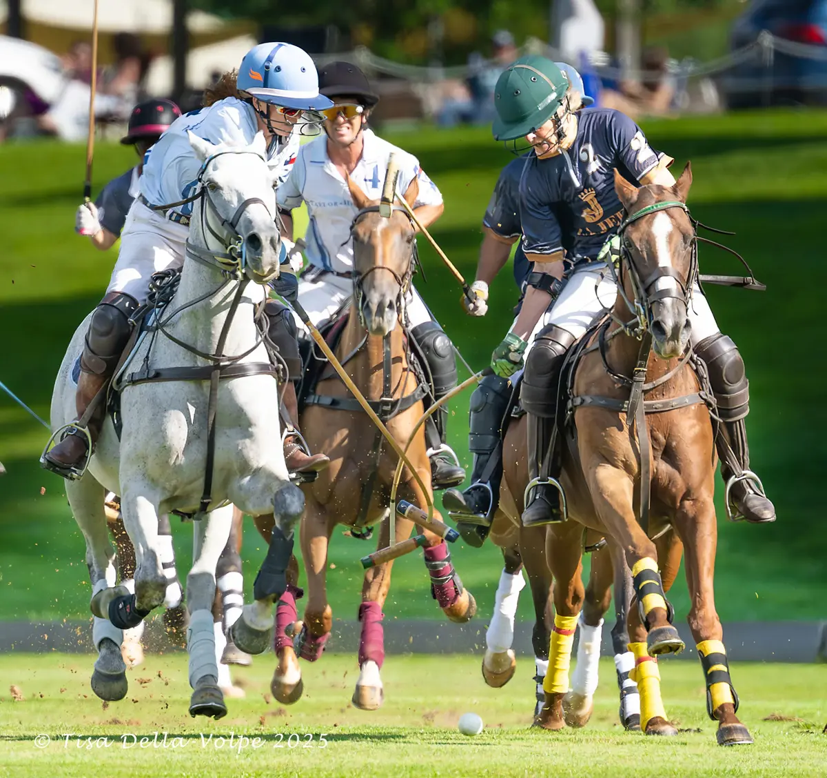 Sunday Polo