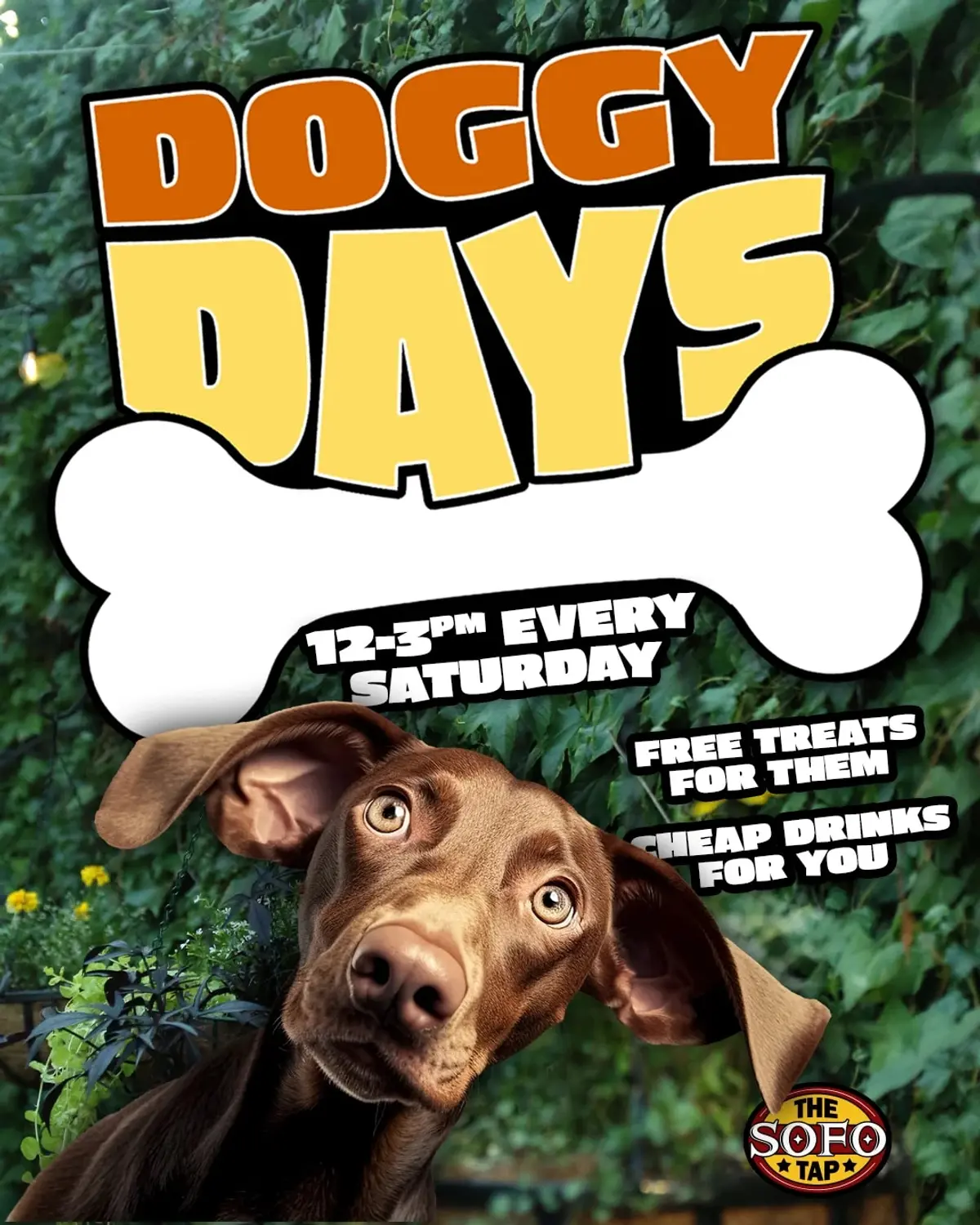 DOGGY DAYS