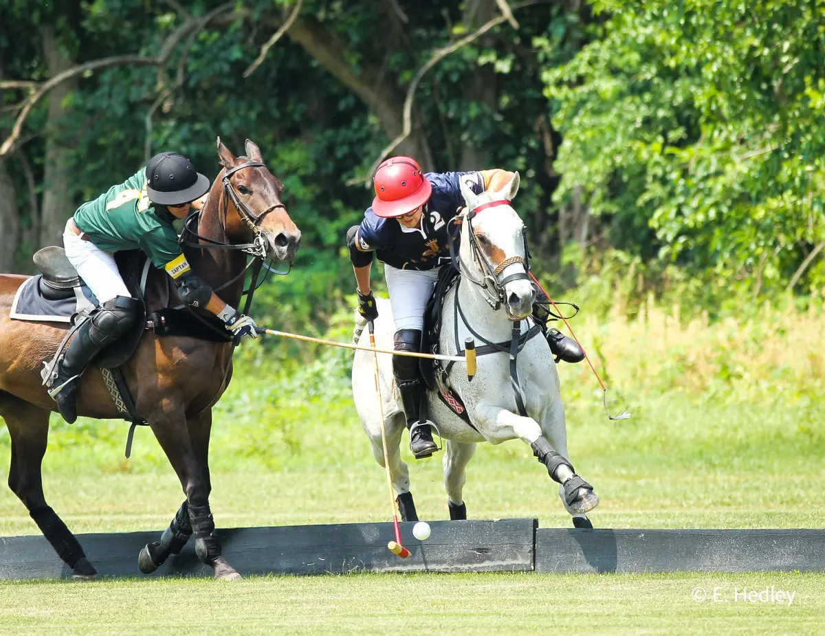 Brandywine Polo - Friday Sunset Polo