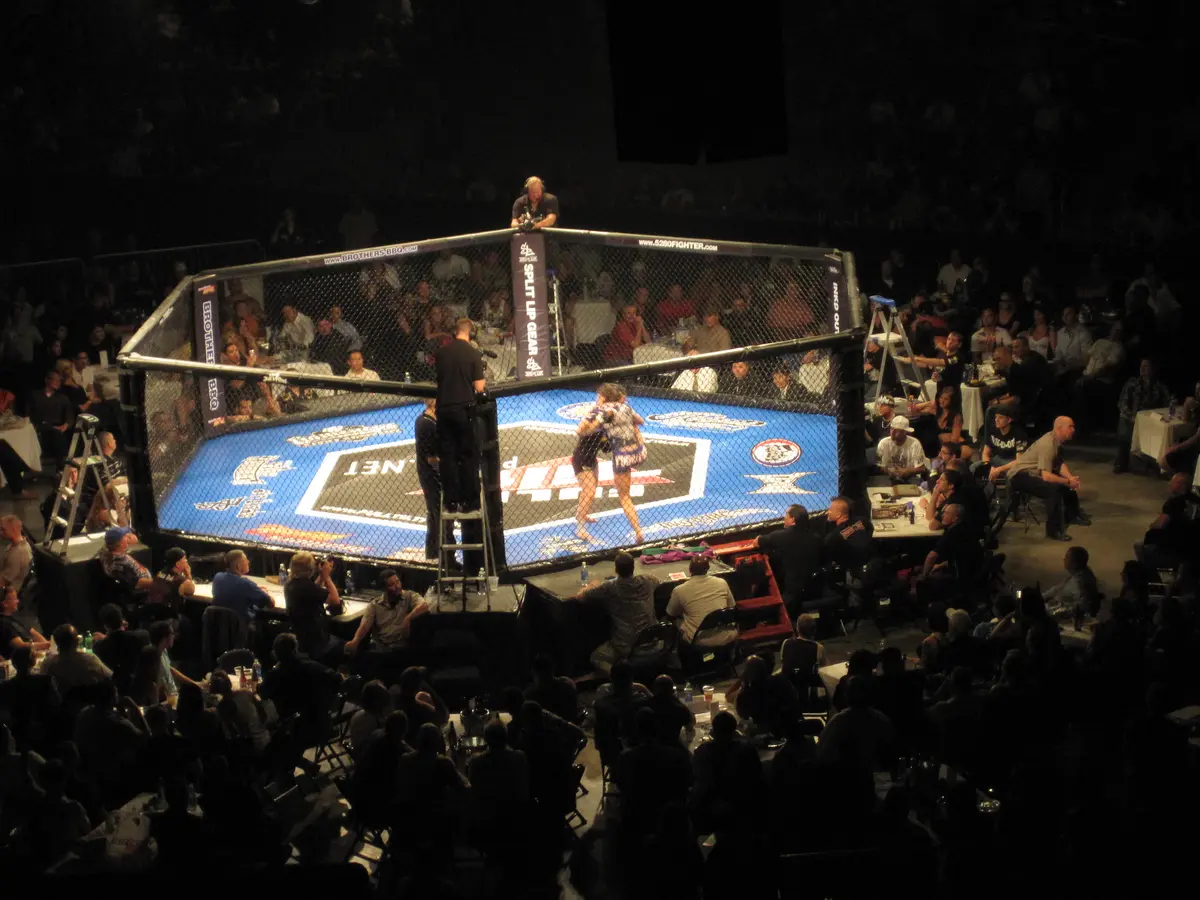UFC 298 - Volkanovski vs Topuria
