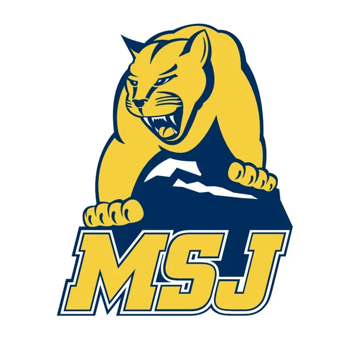 Hanover Men's Basketball v. Mount St. Joseph University