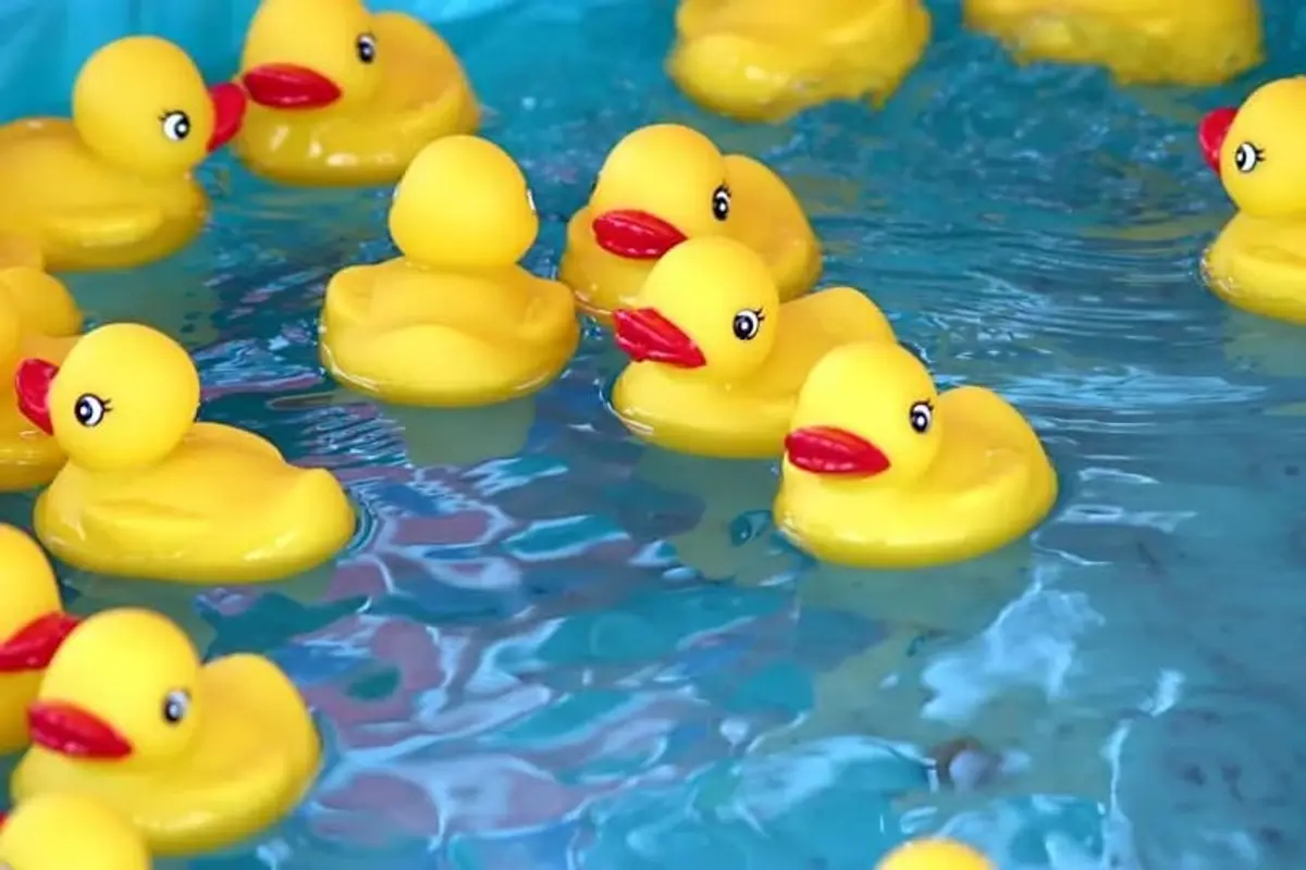 Jefferson County Youth Shelter 11th Annual Duck Race