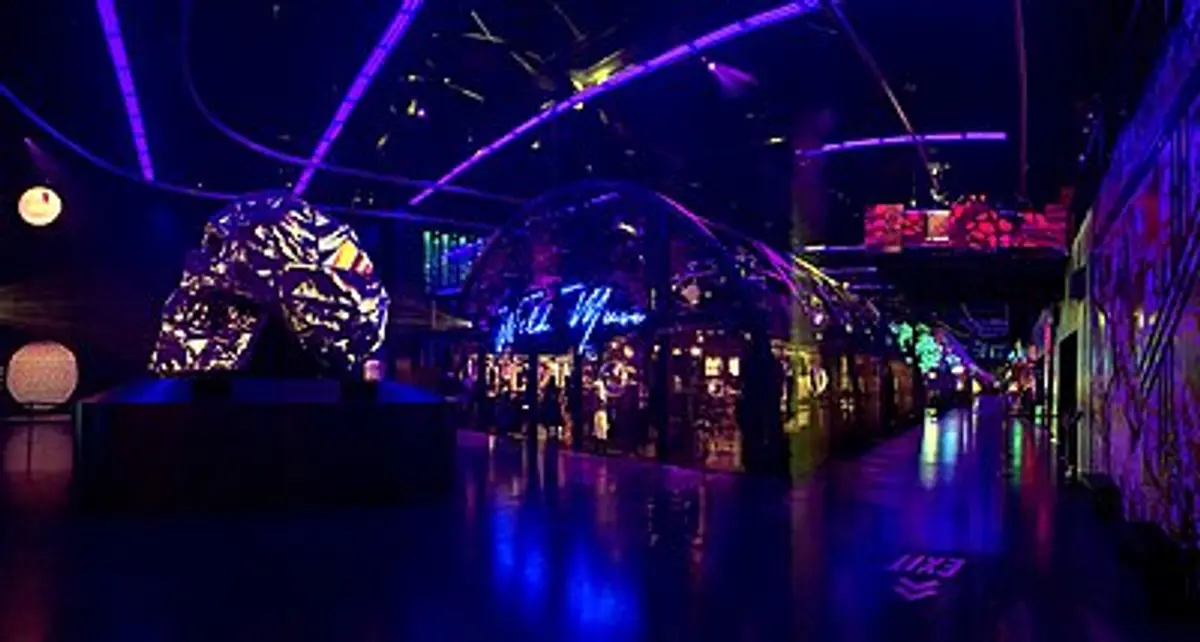 SenpaiSquad LVLUP Expo (18+ Event)