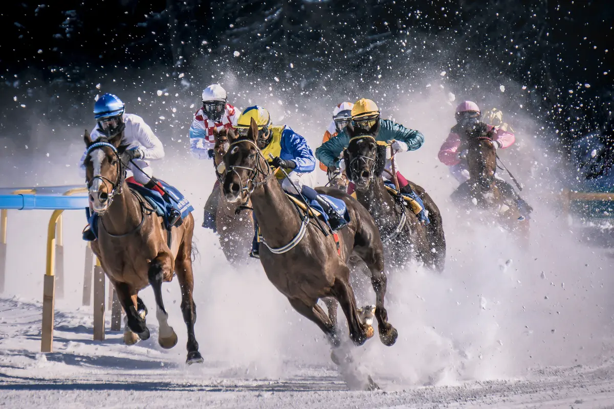 Santa Anita Horse Racing