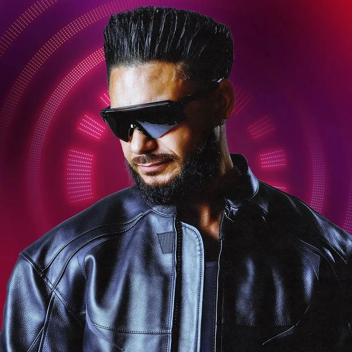 DJ Pauly D