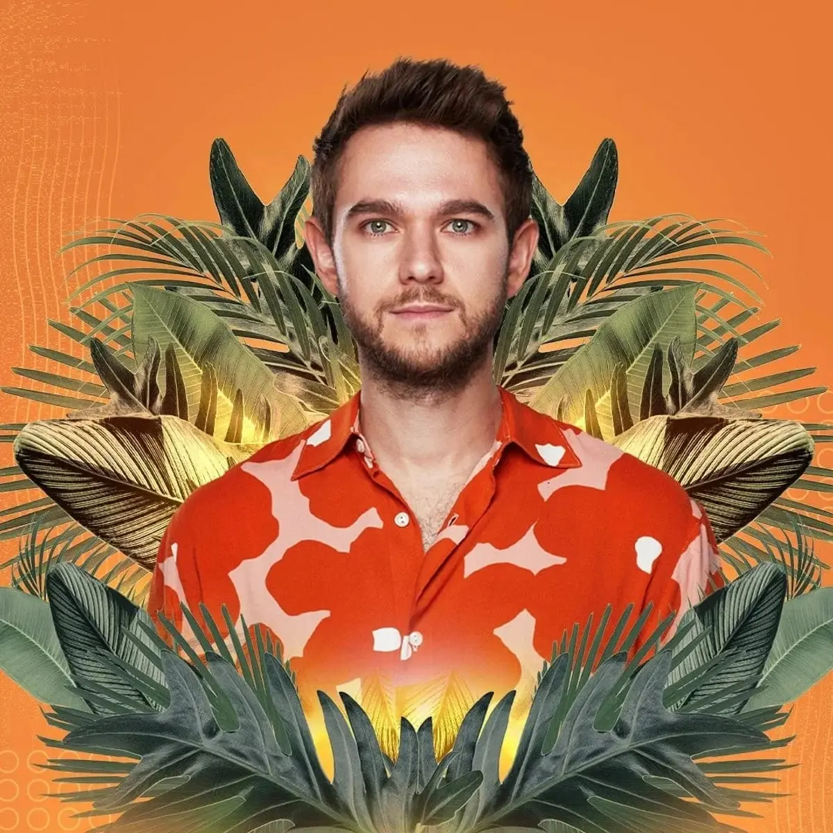 Guest List - Zedd