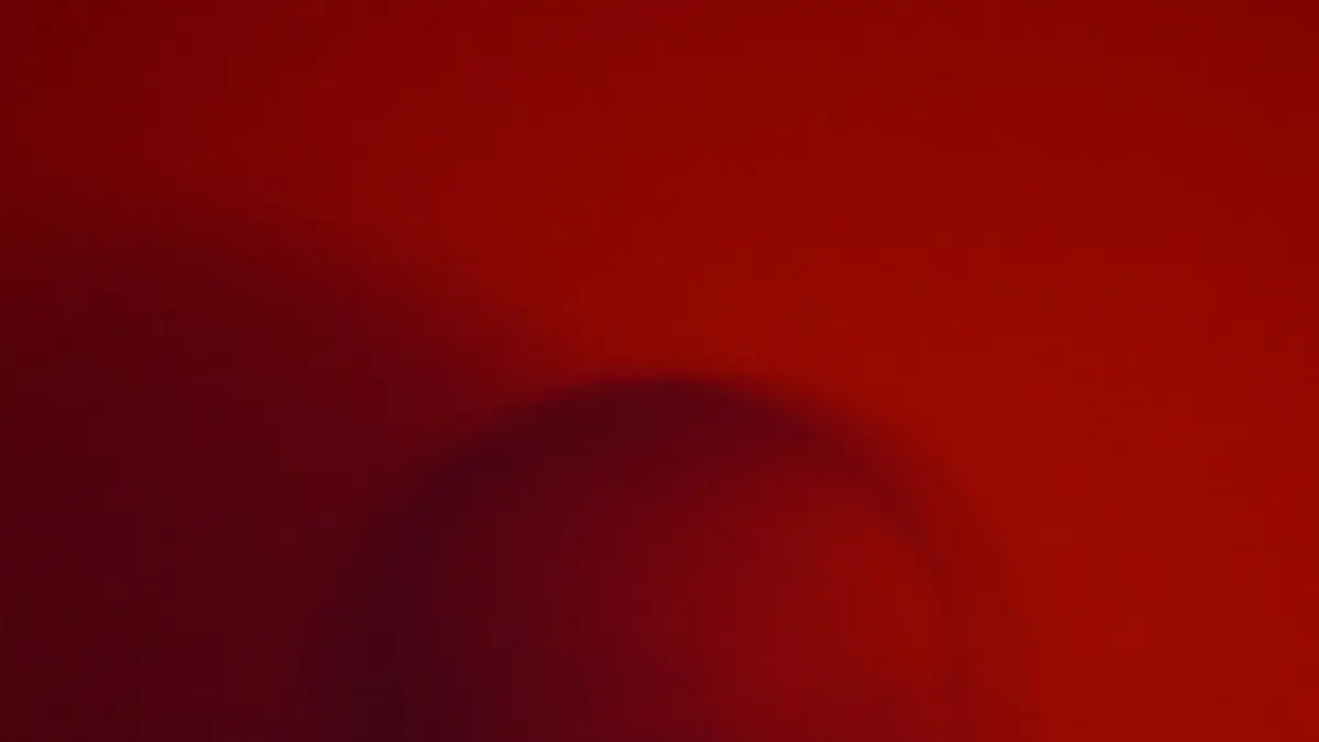 Stardew Valley - Festival of Seasons