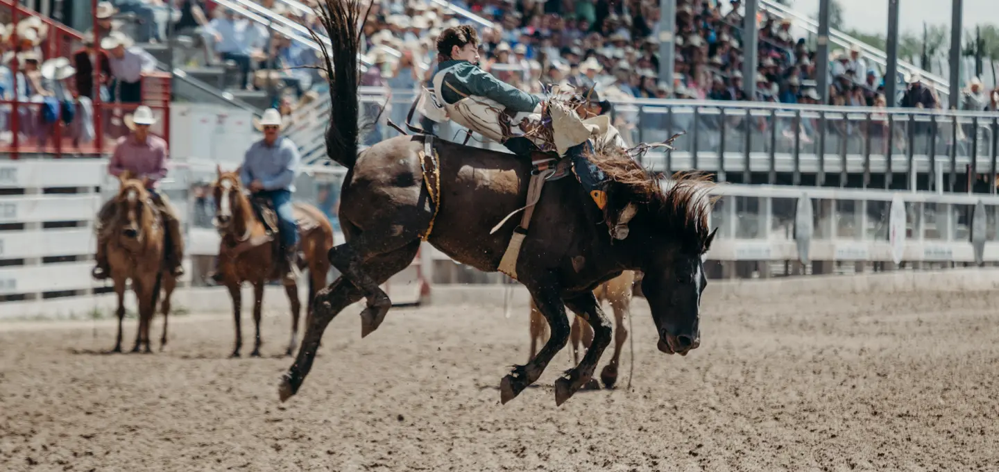 Rodeo Austin - ProRodeo and Tracy Byrd