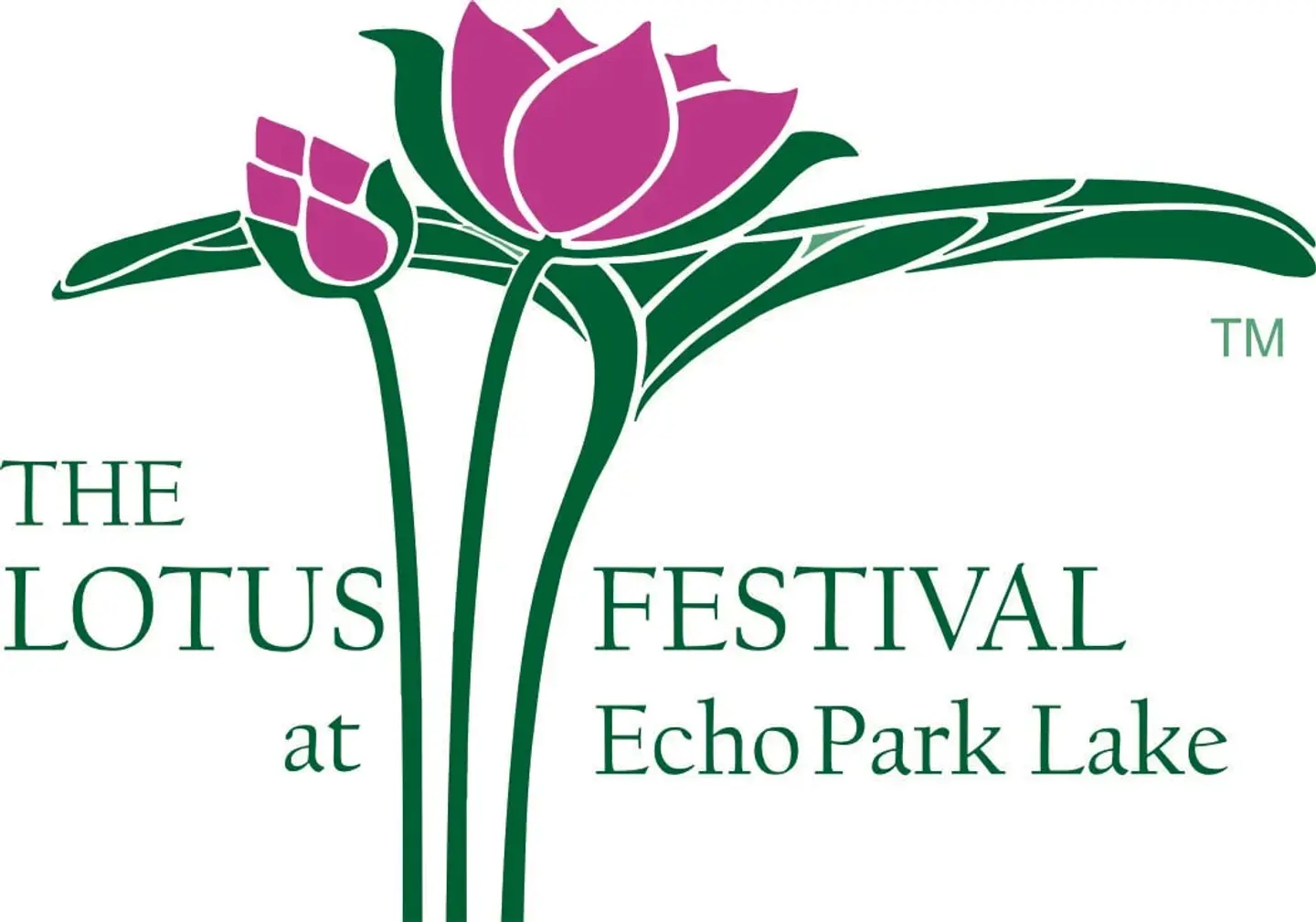 Lotus Festival- Lights of Dreams Festival