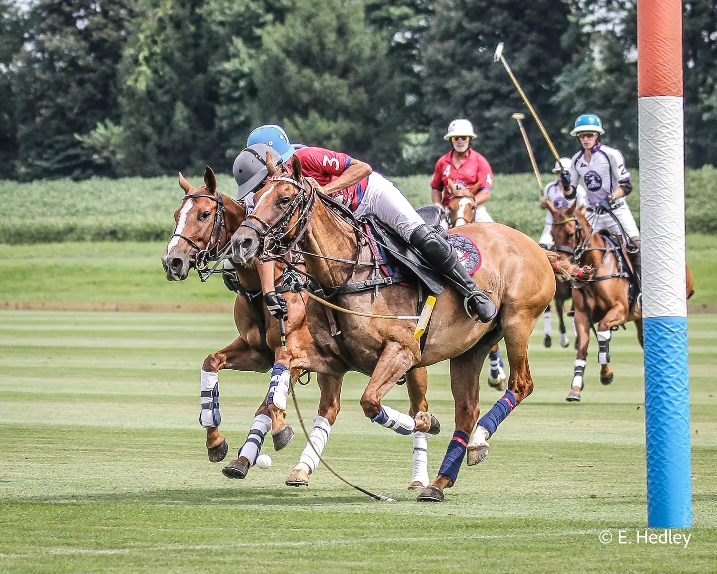 Friday Sunset Polo
