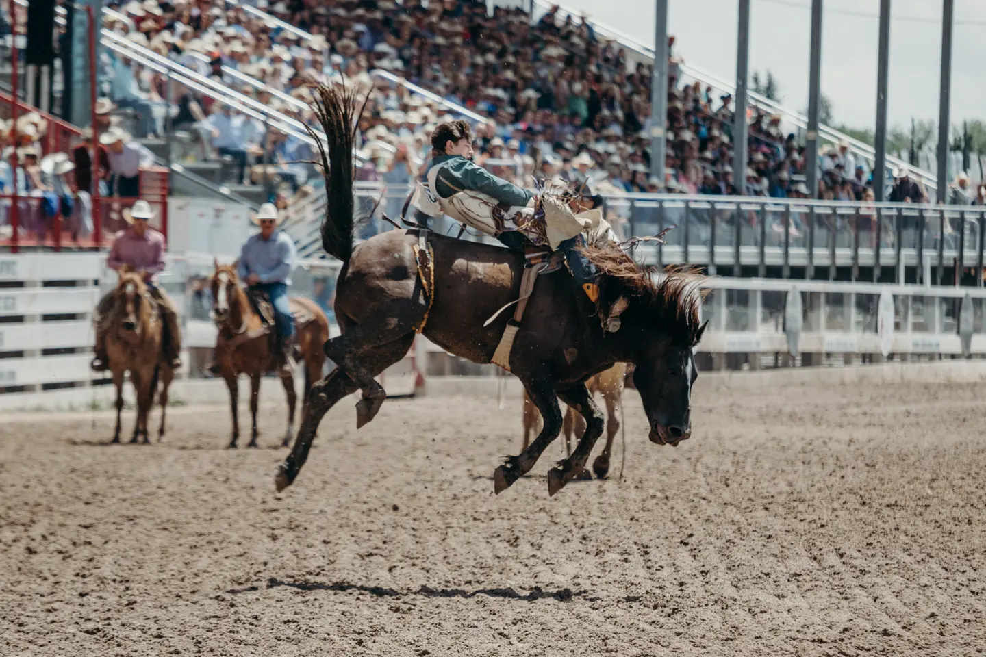 Adirondack Stampede Charity Rodeo