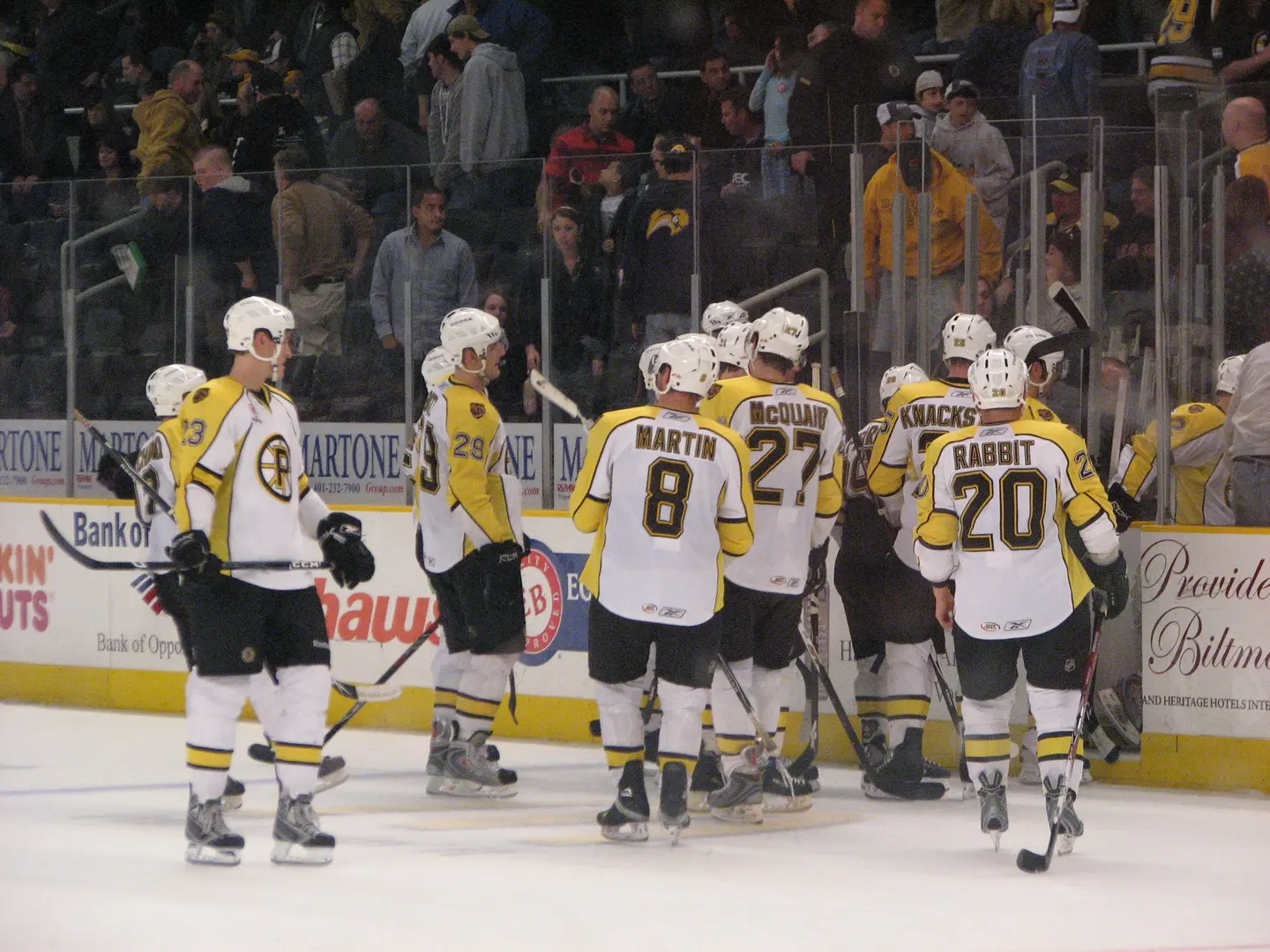 Iowa Wild at Chicago Wolves