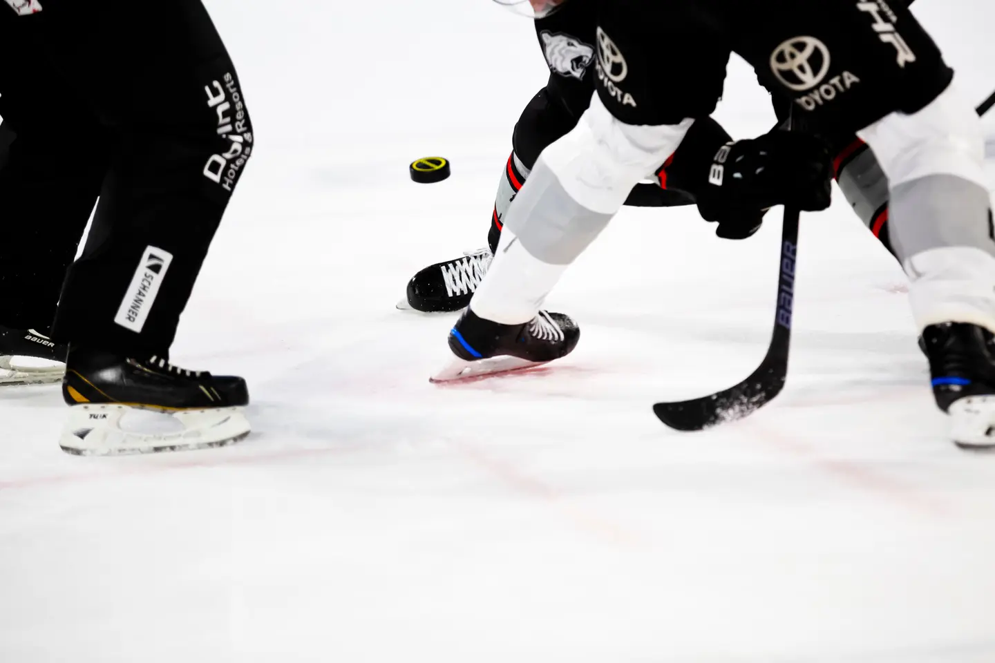 Rockford Icehogs at Manitoba Moose