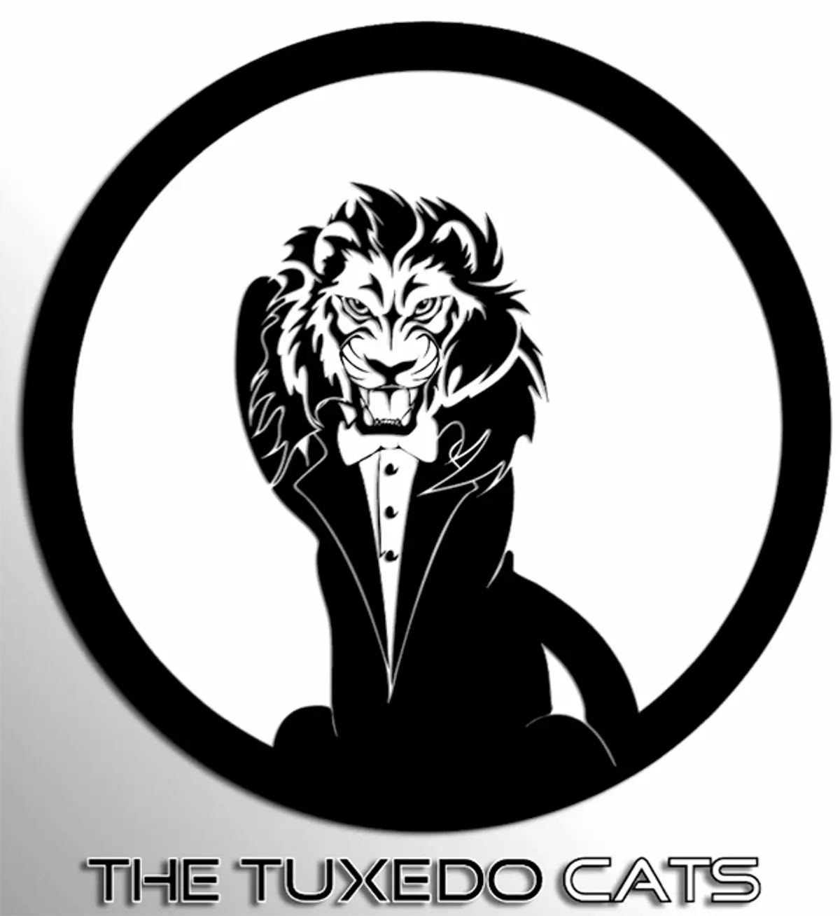 Tuxedo Cats